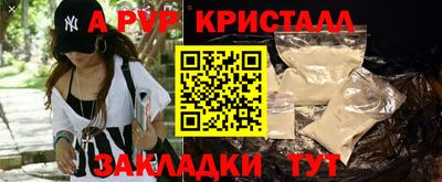 амф Сланцы