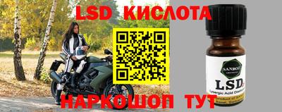 мдпв Славгород
