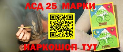 прущие грибы Славянск-на-Кубани