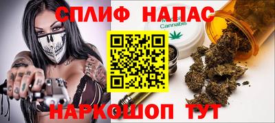 мдпв Славгород