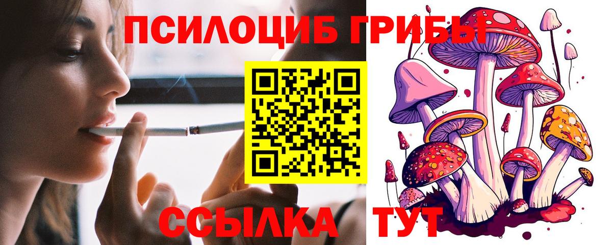 закладки  Псилоцибиновые грибы ЛСД  Можайск  Вход с VPN  Галлюциногенные грибы Cubensis 